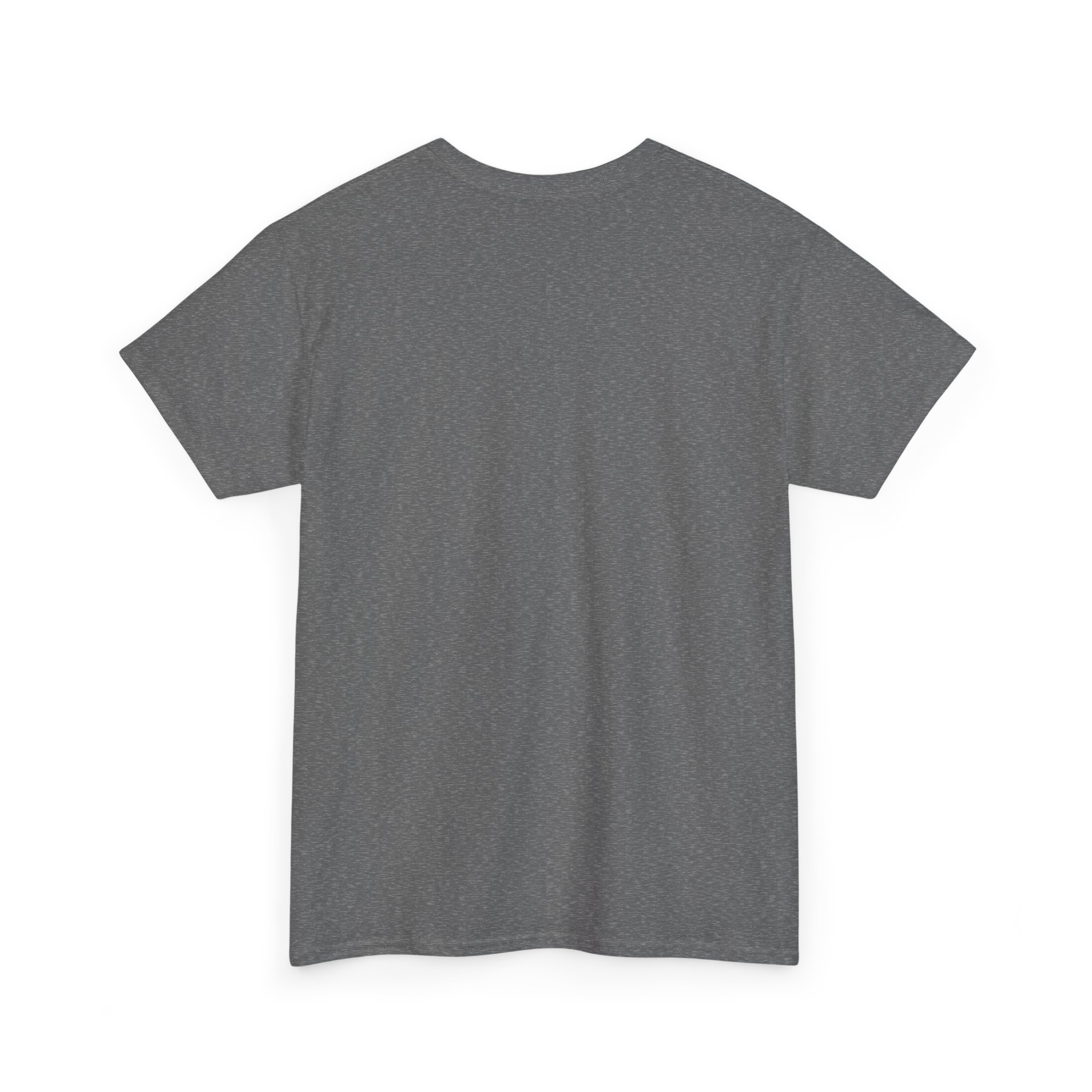Music Lover Unisex Tee - "No Music No Life" Graphic T-Shirt - Image 44